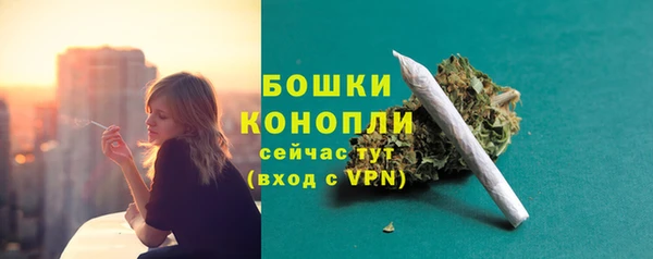 мдпв Сатка