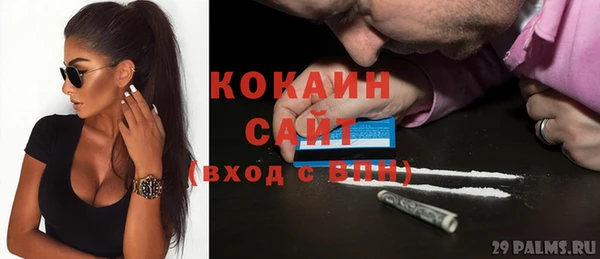 гашик Алзамай